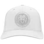 AR FITTED CAP